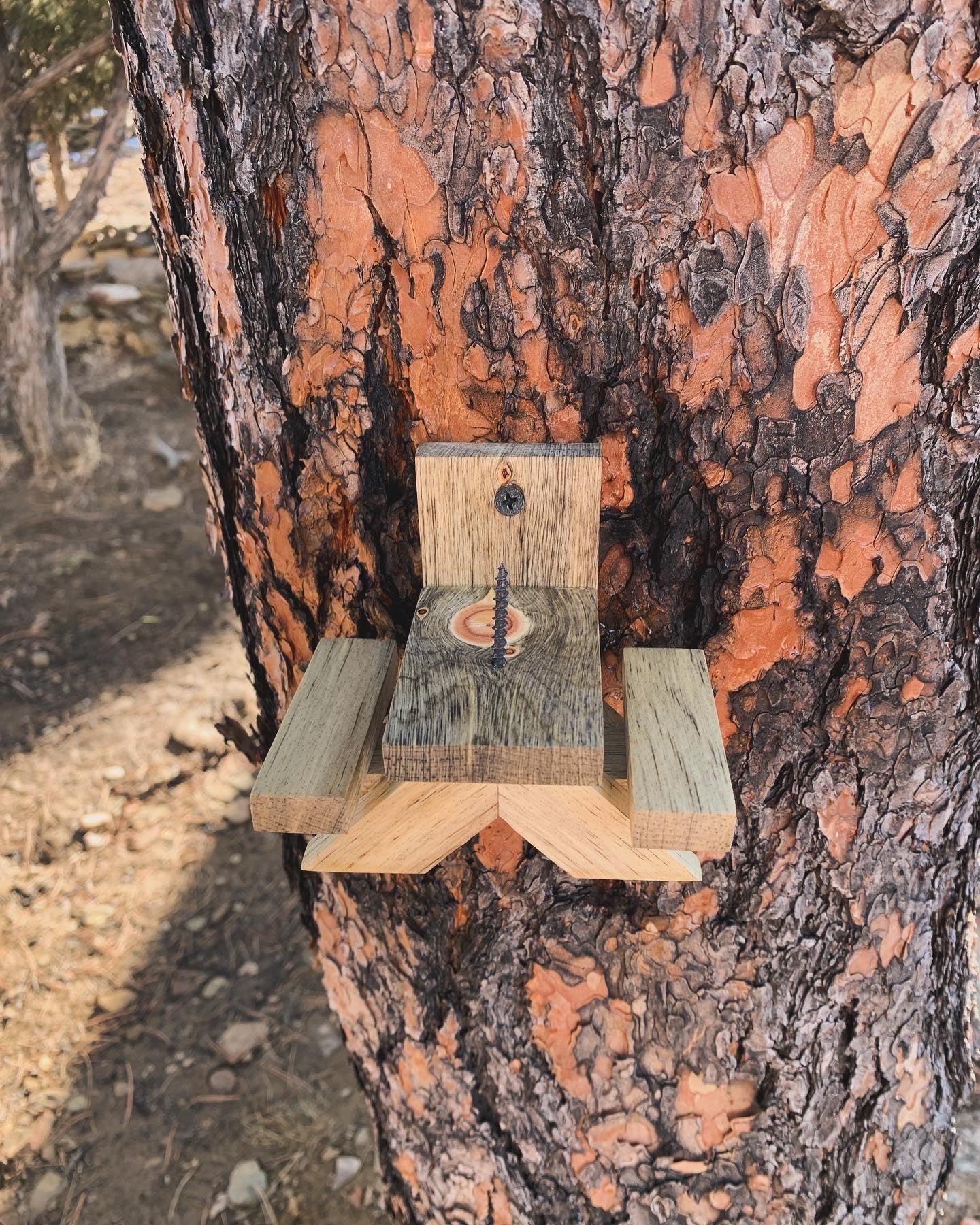 Blue Pine Squirrel Picnic Table