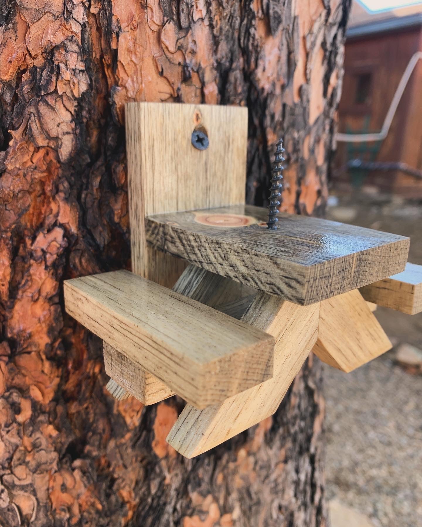 Blue Pine Squirrel Picnic Table